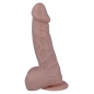 Preview: 25 Realistischer Cock 21.8 X 4.3cm | Mr Intense