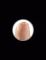 Preview: Realistischer Dildo Uncut Fleischfarben 17cm – King Cock