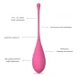 Preview: Leslie - Kugel Fit Pelvic Muscle Training Set 6 Stücke