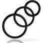 Preview: Set Anillos Pene Schwarz – Addicted Toys