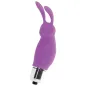 Preview: Rabbit Roger Purple – Intense
