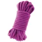 Preview: Purple rope, neatly coiled, on a white background.
