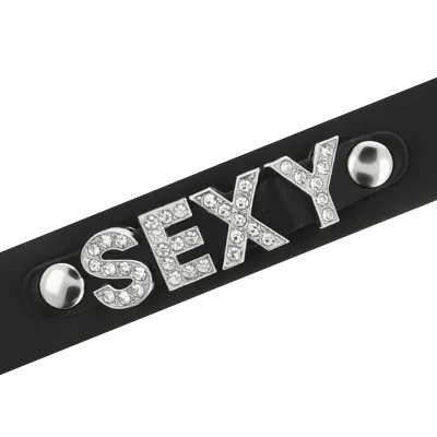 Sexy Veganes Lederhalsband – Coquette Chic Desire