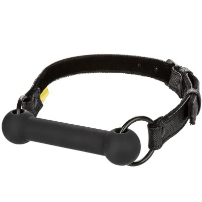 Black dog collar with handle and metal rings, adjustable with Velcro closure.
