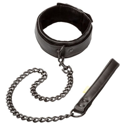 Grenzenloses Halsband Und Leine