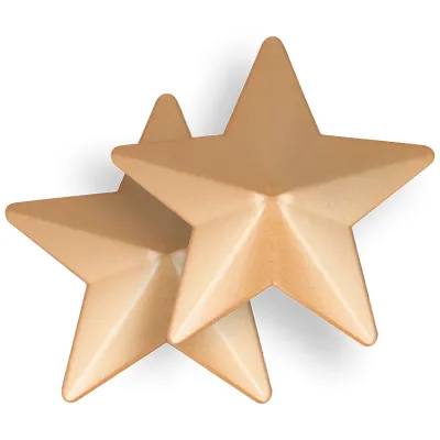 Stern Nipplepatch – Coquette Chic Desire