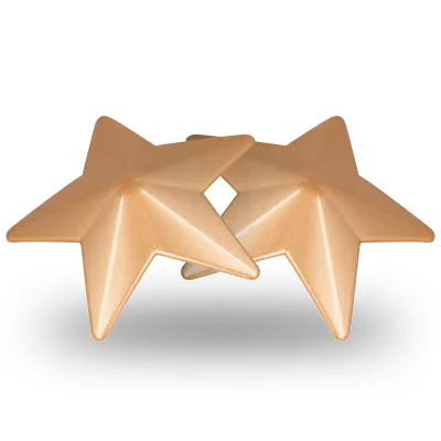Stern Nipplepatch – Coquette Chic Desire