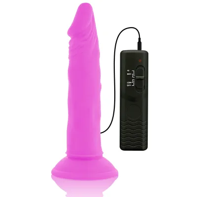 Flexible Vibrating Dildo 23cm Purple – Diversia