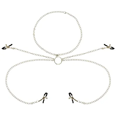 Silver chains with four clasps and a central ring, on a white background.
