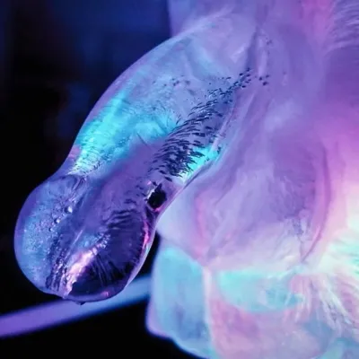 Play Wiv Me - Huge Penis Ice Luge Mold