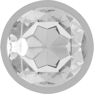 Aluminum Anal Plug with Silver Glass M – Intense