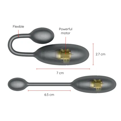 Denver Vibrating Egg Black 7 x 2.7cm App – Online