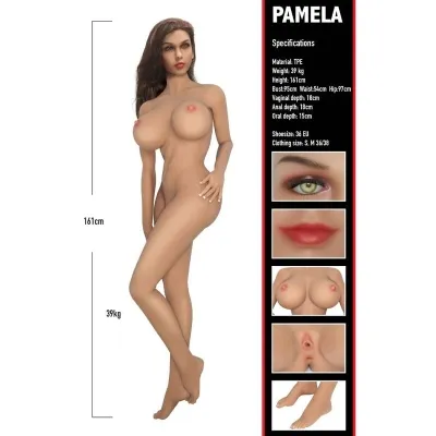 Banger Babe Pamela – Hidden Desire