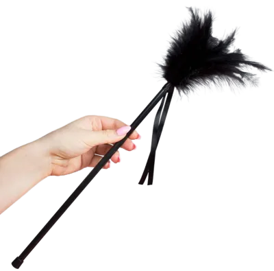 Schwarze Federn 40cm – Secretplay