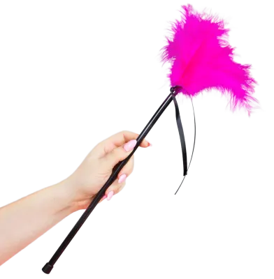 Rosa Federn 40cm – Secretplay