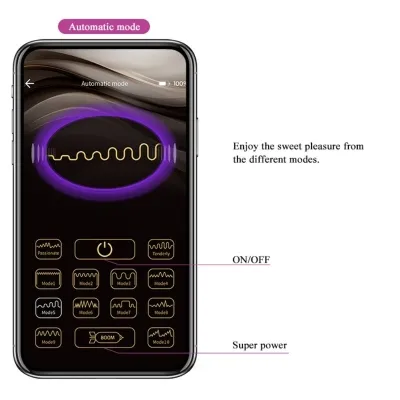 Elvira Rechargeable Vibrating Balls Purple – Pretty Love