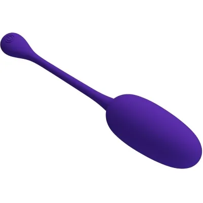 Purple, egg-shaped vibrator with a long handle and on/off switch.