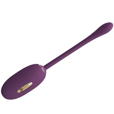 Doreen Purple Wiederaufladbares Vibrations Ei – Pretty Love