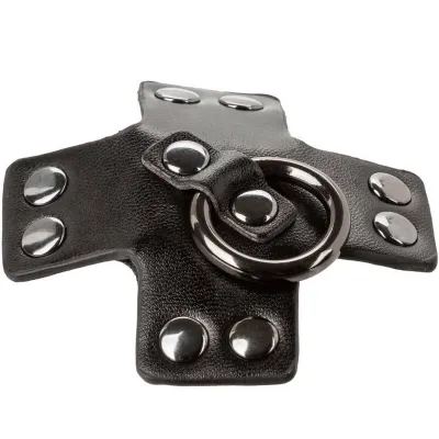 Euphoria O-Ring Schwarz – Calex