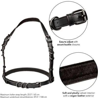 Euphoria Schnallengeschirr Schwarz – Calex
