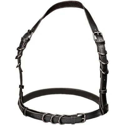 Euphoria Schnallengeschirr Schwarz – Calex