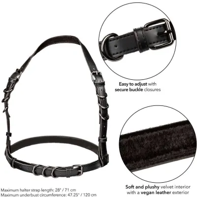 Euphoria Plus Size Buckle Harness Schwarz – Calex