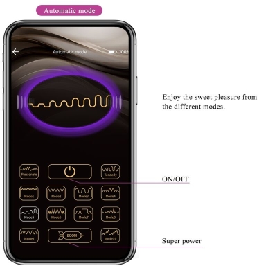 Ethan Wiederaufladbarer Vibrator Lila | Pretty Love