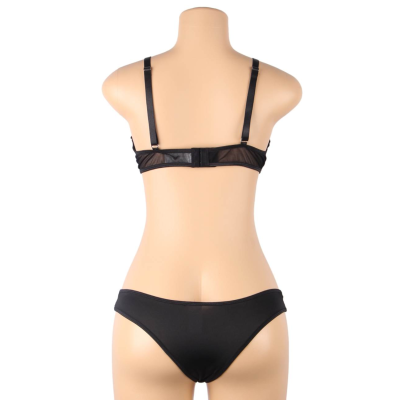 2 Tlg. Set Aus Transparenz BH Und S/M | Subblime