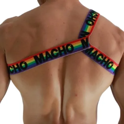 Römisches Geschirr Pride S/M – Macho
