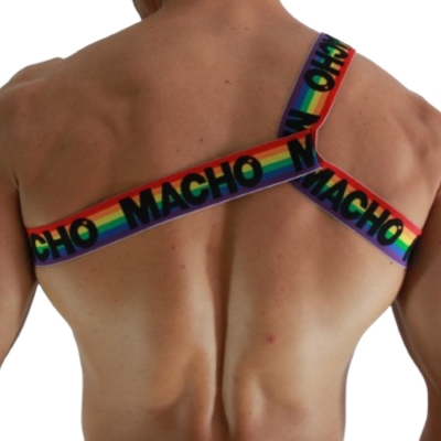 Römisches Geschirr Pride L/XL | Macho