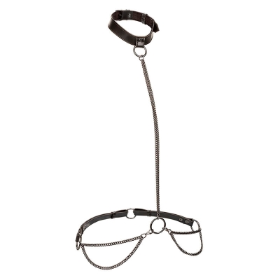 CALEXOTICS - EUPHORIA KETTENHALFTERHALSBAND UND LEINE ÃBERGRÃSSE