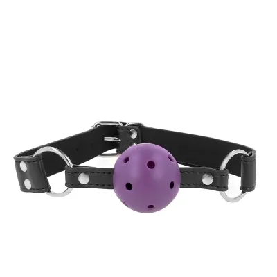 Black leather strap with purple ball and holes, metal rings on the sides.