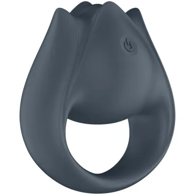 Perfect Pair 2 Multivibrator 2 In 1 Cock Ring Gray | Satisfyer