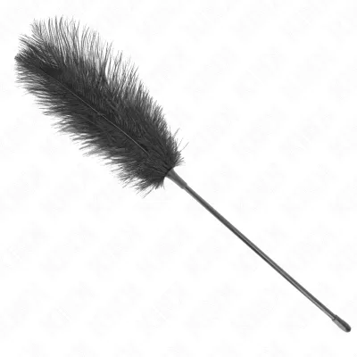 Black feather duster with a long handle on a white background.