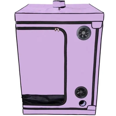 Kink Club Cabin Scandale Purple – Secret Dome