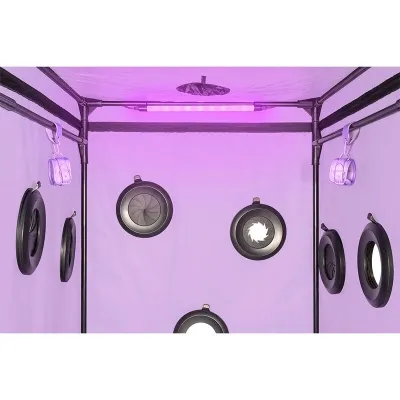 Kink Club Cabin Scandale Purple – Secret Dome