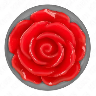 Plug Anal Rose Rot S – Kink
