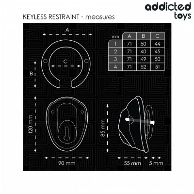 Keyless Penis Cage 11.5cm – Addicted Toys Locked