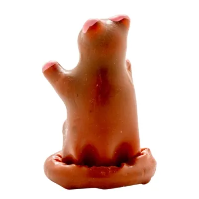 Teddybär Kondom Handbemalt – Condomerie