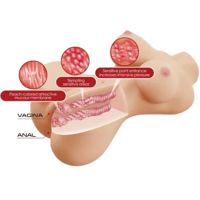 Hetty Weiblicher Torso Vagina Und Anal 1.9kg – Crazy Bull