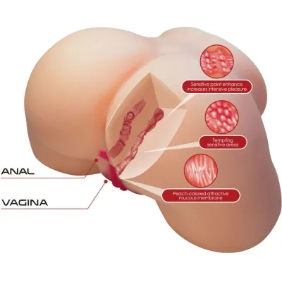 Olivia Female Buttocks Vagina and Anal 5.5kg – Crazy Bull
