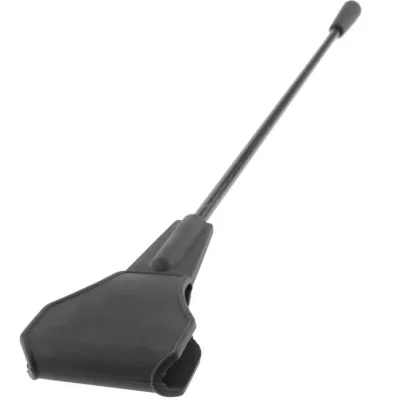 Black car antenna with flexible rod and rounded tip, on a white background.