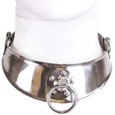 Metal collar with ring on a white bust.