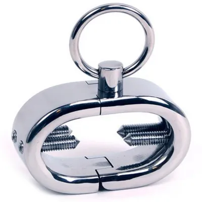 Metallic chastity belt with ring and screws, shiny and oval shaped.