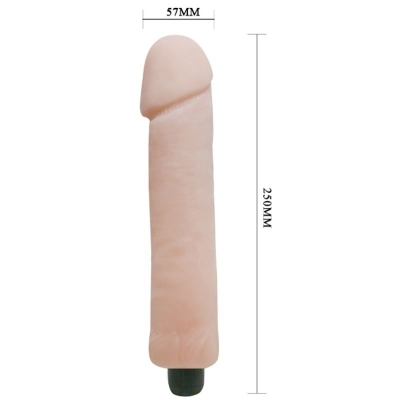 Love Companion Dildo Vibrator 25cm | Baile