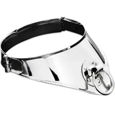Silver necklace with ring and black clasp.