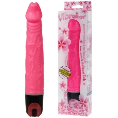 Vibrator Multi Speed 21.5cm Pink – Baile