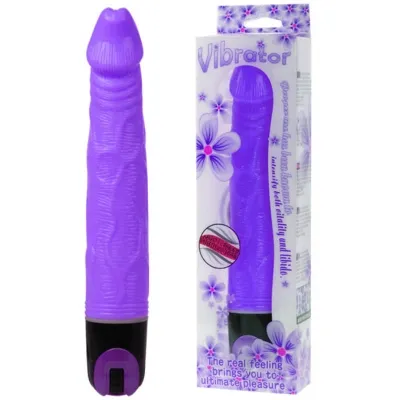 Vibrator Multi Speed 21.5cm Purple – Baile