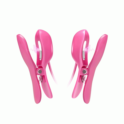 Nippelklemmen Mit Vibration Und Strom - Fuchsia