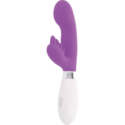 Kaninchen Elvis Lila – Glossy